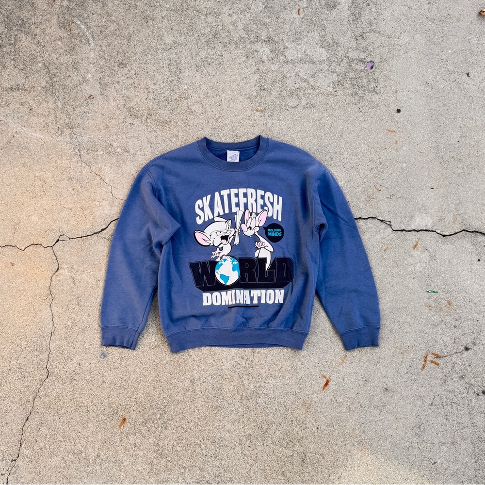 🛹 Vintage Skatefresh “World Domination” Crewneck – Rare Streetwear!